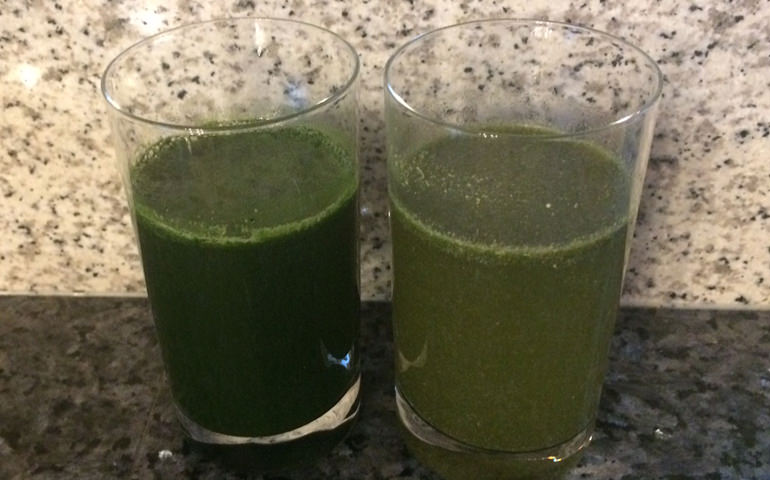 Gerstengras Saft Vergleich